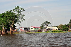 Amazon Jungle Typical Home