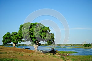 Amazon Landscape photo