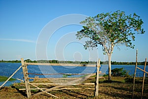 Amazon Landscape photo