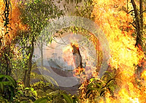 Tropical Amazonas Rainforest On Fire