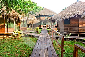 Amazon rainforest: Footpath along the Amazon River near Manaus, Brazil South America