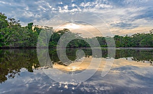 Amazon Rainforest Sunset Panorama, Ecuador