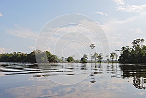 Amazon rainforest: Landscape along the shore of Amazon River near Manaus, Brazil South America photo