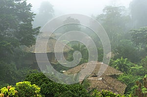 Amazon Rainforest Lodge Fog, Ecuador photo