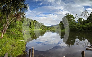 Amazon rainforest in river Madre de Dios, Manu National Park, Peru