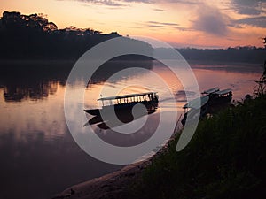 Amazon rainforest sunrise