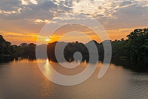 Amazon Rainforest Sunrise, Yasuni, Ecuador