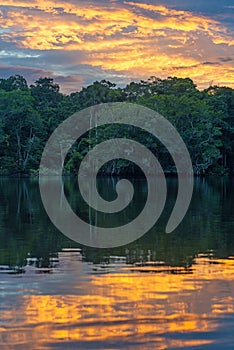 Amazon Rainforest Sunset Reflection, Ecuador