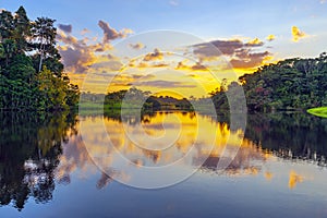 Amazon Rainforest Sunset, South America photo