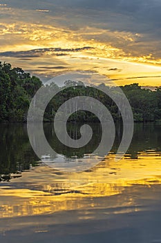 Amazon Rainforest Sunset, Yasuni, Ecuador