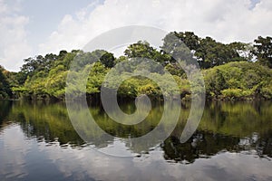 Amazon River