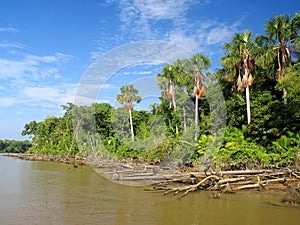 Amazon river photo