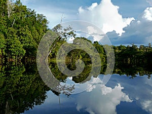 Amazon river, Brazil photo