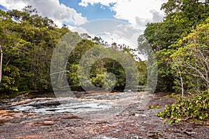 The Amazon River flowing passed the rainforest & jungle of Presidente Figueiredo in Brazil, South America photo