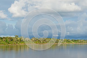 Amazon river landscape in Brazil