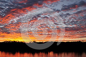 Amazon river landscape in Brazil