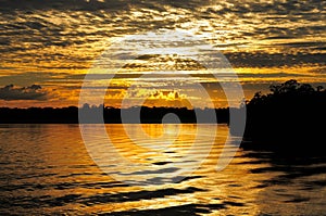 Amazon river landscape in Brazil