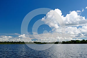 Amazon river landscape in Colombia