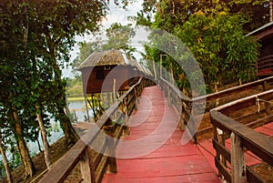 Amazon river, Manaus, Amazonas, Brazil: Wooden bridge and houses. Lodge for tourists on the island on the Amazon river