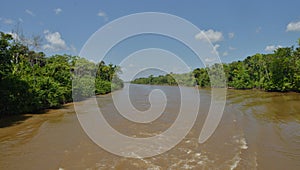 Amazon river during sunny day