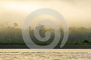 Amazon River Sunrise in the Fog