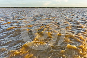 Amazon river view, Brazil, South America