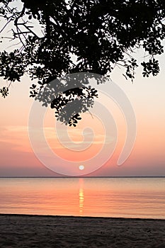 Amazon Sunset photo