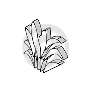 amazon sword isometric icon vector illustration photo