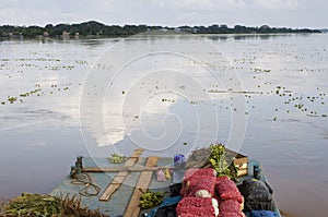 Amazon transportation boat on amazon river