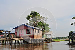 Amazzonia tipico povero casa ()  