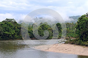 Amazon, View of the tropical rainforest, Ecuador photo