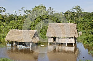 Amazonas village. Typical indian tribes settlement in Amazon