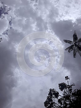 Amazonian blue sky with clouds