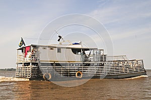 Amazonic Cattle Transportation (The Amazonia)