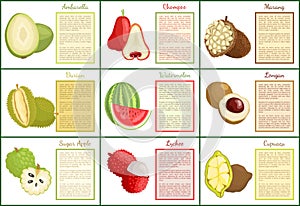 Ambarella Chompoo Sugar Apple Posters Set Vector photo