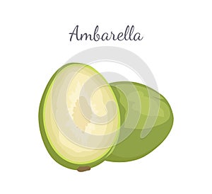 Ambarella Exotic Juicy Fruit Vector Isolated Icon