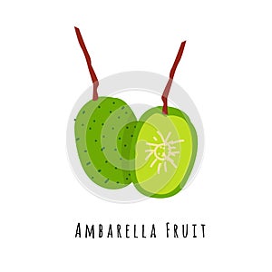 Ambarella fruit flat vector illustration
