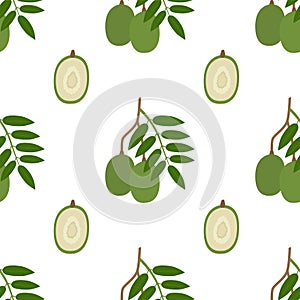 Ambarella Fruit. Seamless Vector Patterns