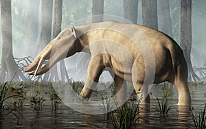 Ambelodon