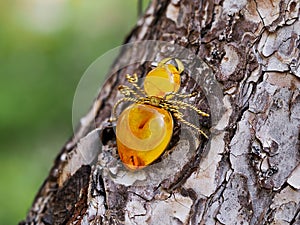 Amber brooch spider from the USSR