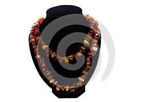 Amber double necklace on black velvet bust isolated on white background. Female accessories, decorative ornaments and jewelry.