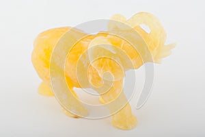 amber, elephant isolated on white