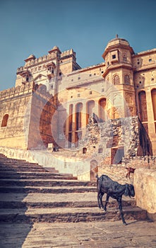 Amber Fort