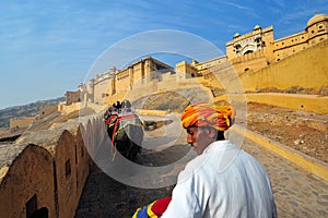 Amber fort elephant ride