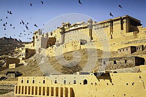 Amber Fort Glowing in the Sun