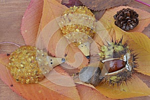 Amber hedgehogs