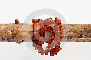 Amber jewelry