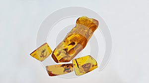 Amber stone. Authentic Baltic amber with prehistoric fossil insect macro. Magnifying glass and increasing amber