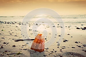 Amber stone on the beach. Baltic Sea