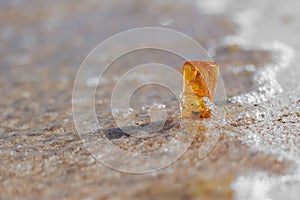 Amber stone closeup at Baltic shore